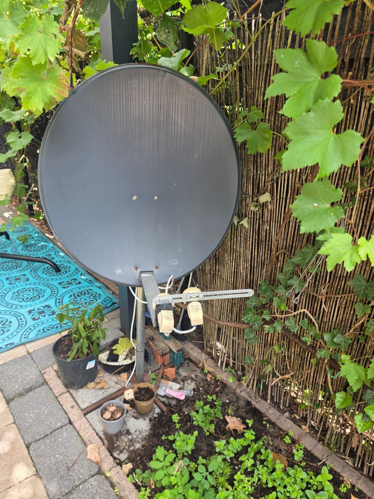 Schotelantenne voor tv-programma's, Ophalen, Gebruikt, (Schotel)antenne, Overige merken