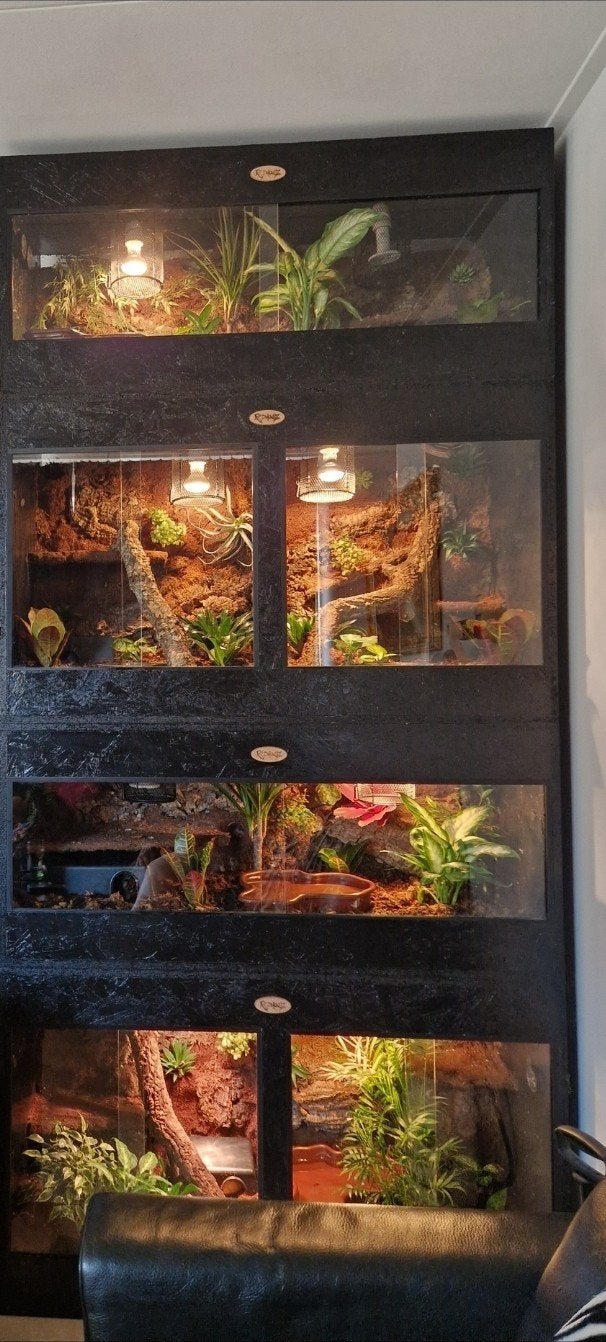 Terraria incl ballpythons / koningspythons, Dieren en Toebehoren, Ophalen, Zo goed als nieuw, Terrarium of Paludarium