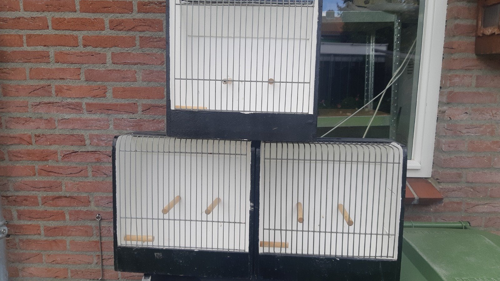 Kleine tentoonstelling kooien, Dieren en Toebehoren, Ophalen, Gebruikt, Hout, Vogelkooi