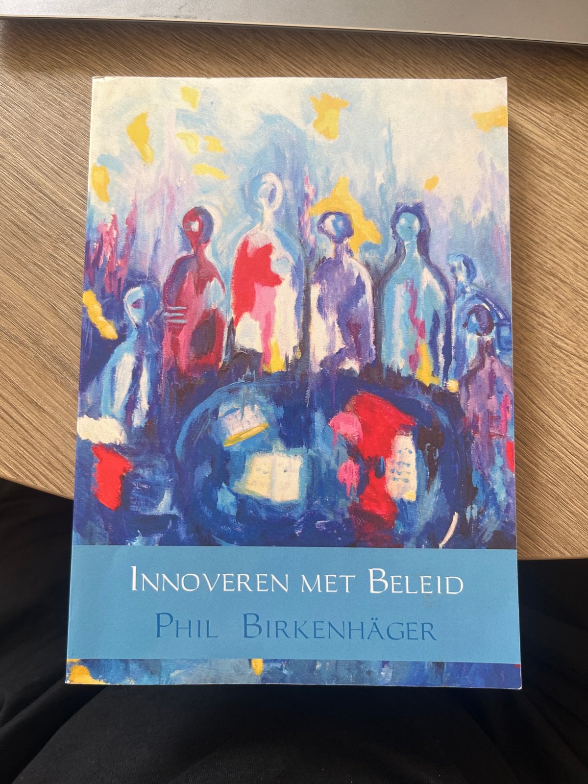 Phil Birkenhäger - Innoveren met beleid, Sociale wetenschap, Ophalen of Verzenden, Zo goed als nieuw, Phil Birkenhäger