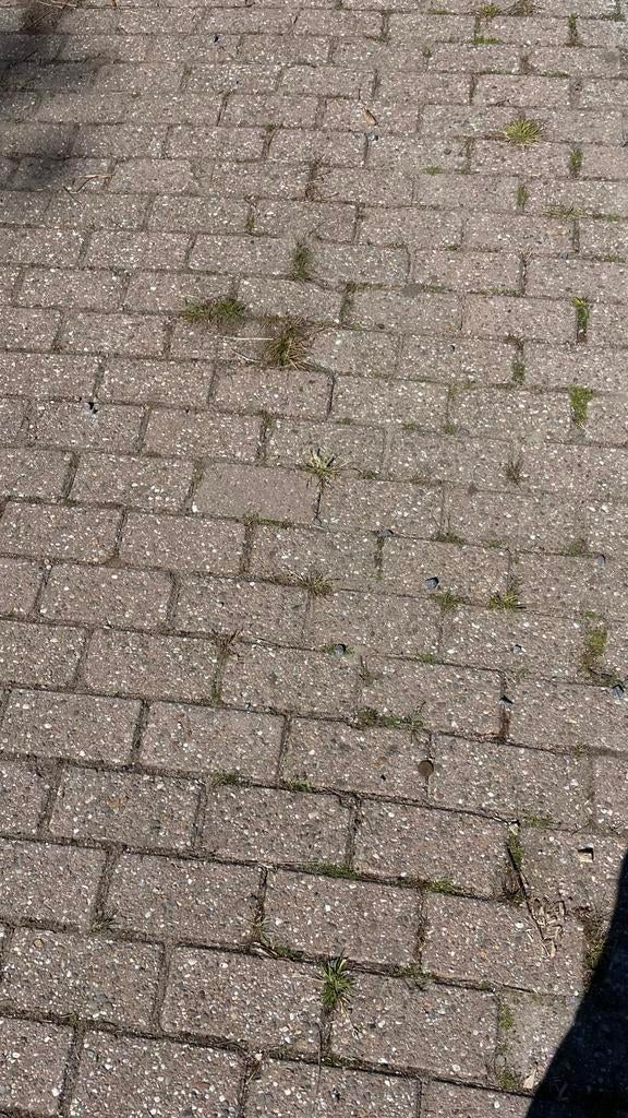 Gratis: tot 60 m2 straatklinkers, Tuin en Terras, Tegels en Klinkers, Ophalen, Gebruikt, Klinkers, 10 m² of meer