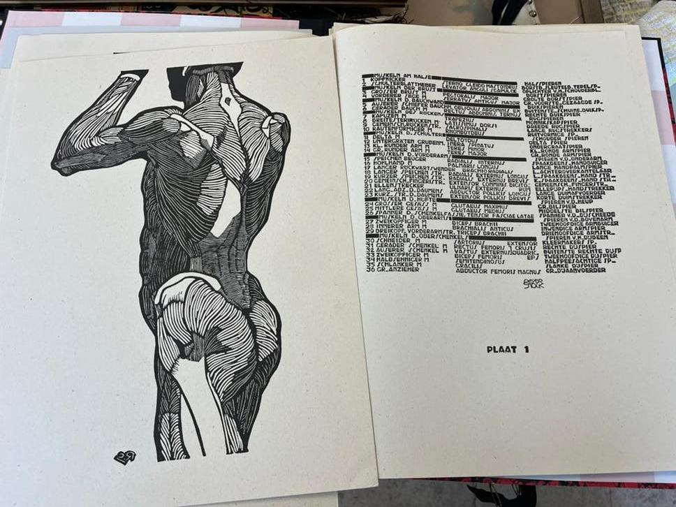 Anatomische studies Reijer Stolk - Zeldzame kunstafdrukken, Ophalen of Verzenden
