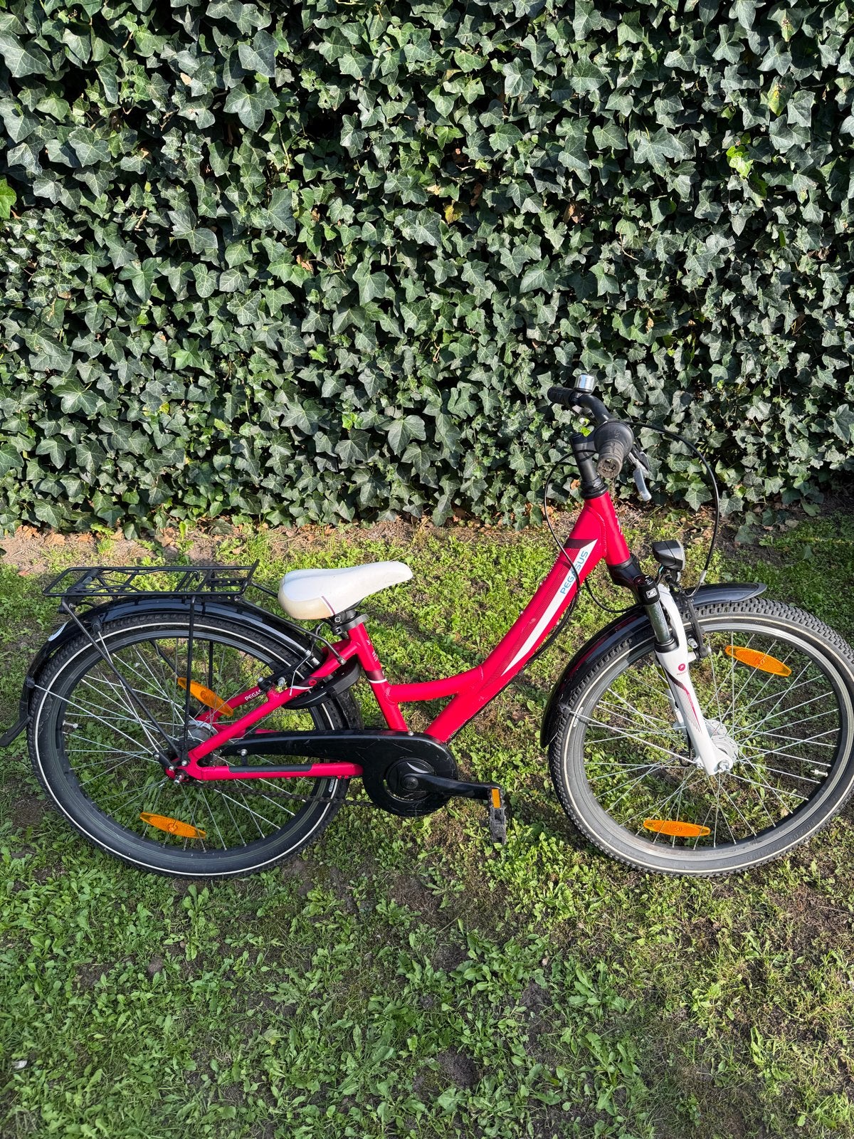 Pegasus Avanti 20 inch kinderfiets - roze, Ophalen, Gebruikt, Velgrem, 16 tot 20 inch