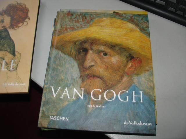 vincent van gogh, Ophalen of Verzenden, Zo goed als nieuw, Schilder- en Tekenkunst