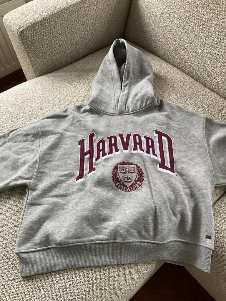 Pull&Bear Harvard Hoodie Maat M, Ophalen of Verzenden, Zo goed als nieuw, Maat 38/40 (M), Grijs