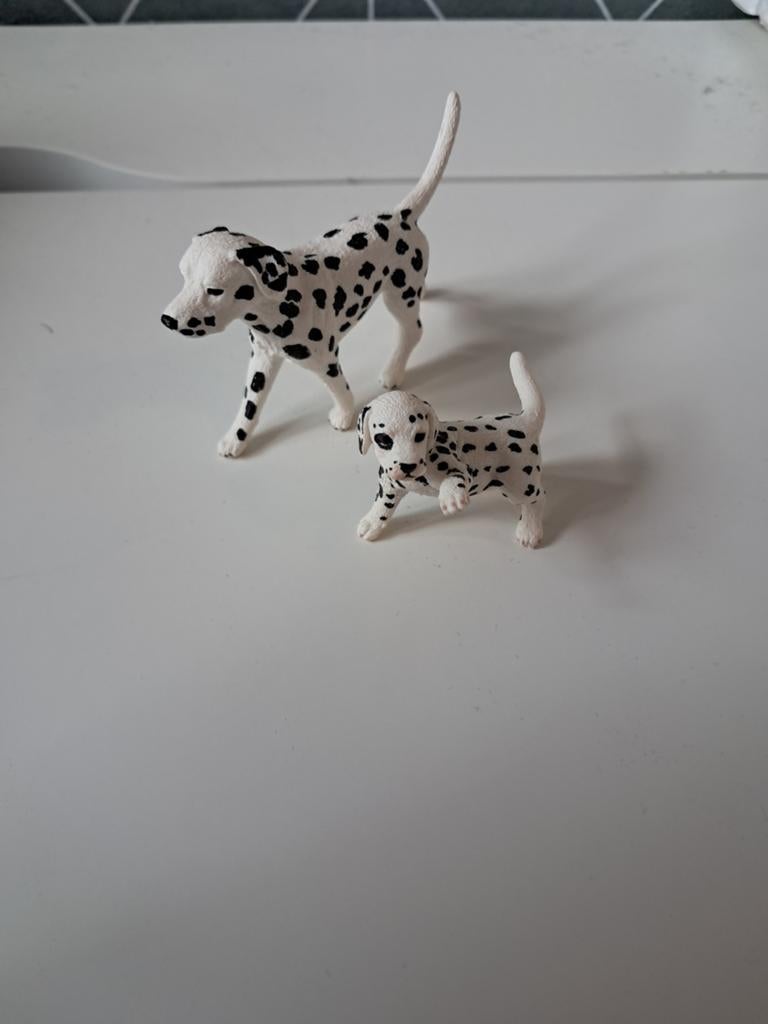 Sleich dalmatiers, Ophalen of Verzenden, Jongen of Meisje