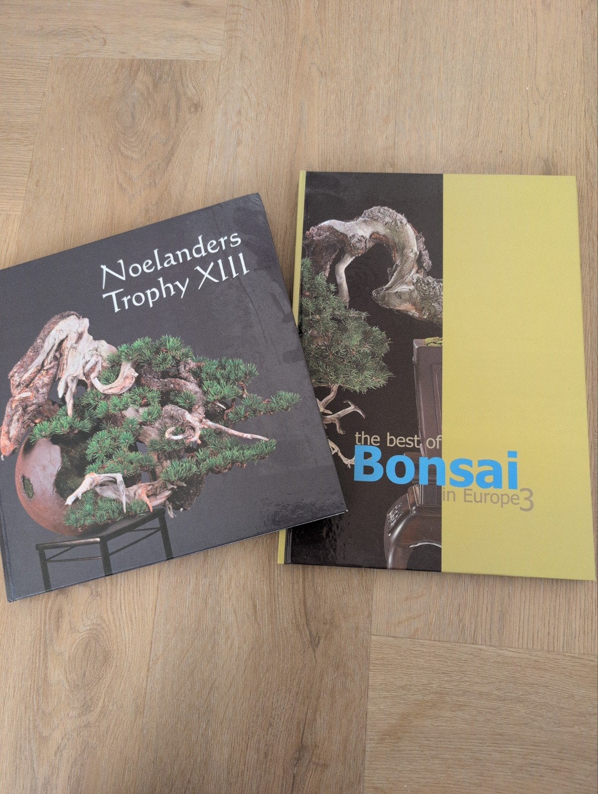 Bonsai boeken: Noelanders Trophy & The Best of Bonsai Europe, Ophalen of Verzenden, Zo goed als nieuw, Overige onderwerpen