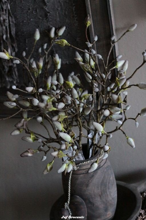 Kunst Magnoliatak XXL met diverse vertakkingen., Www.jufbrocante.nl, Www.jufbrocante.nl, Nieuw, Ophalen of Verzenden