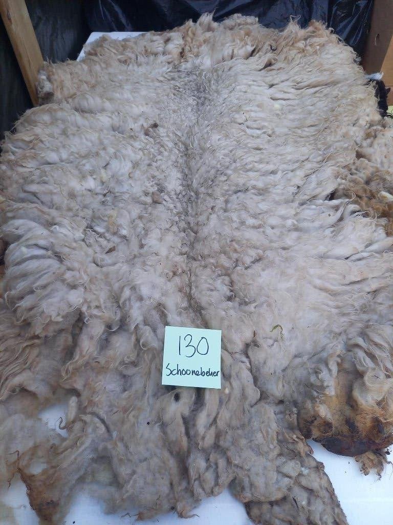 nr130 Geschoren vacht van een Schoonebeker heideschaap, Ophalen of Verzenden, Gebruikt