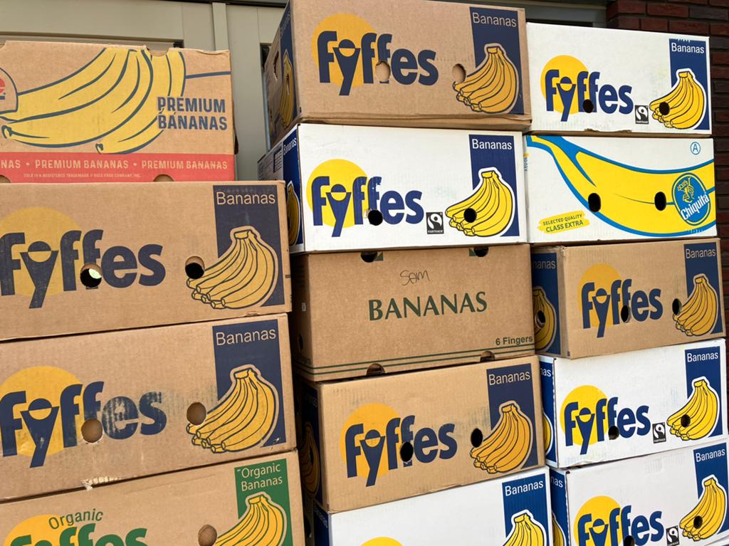 24 bananendozen, Ophalen, Doos, 40 tot 60 cm, 50 tot 75 cm