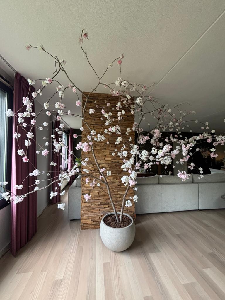 Bloesemboom met echte houten stam, Ophalen, Binnen, Roze, Zo goed als nieuw