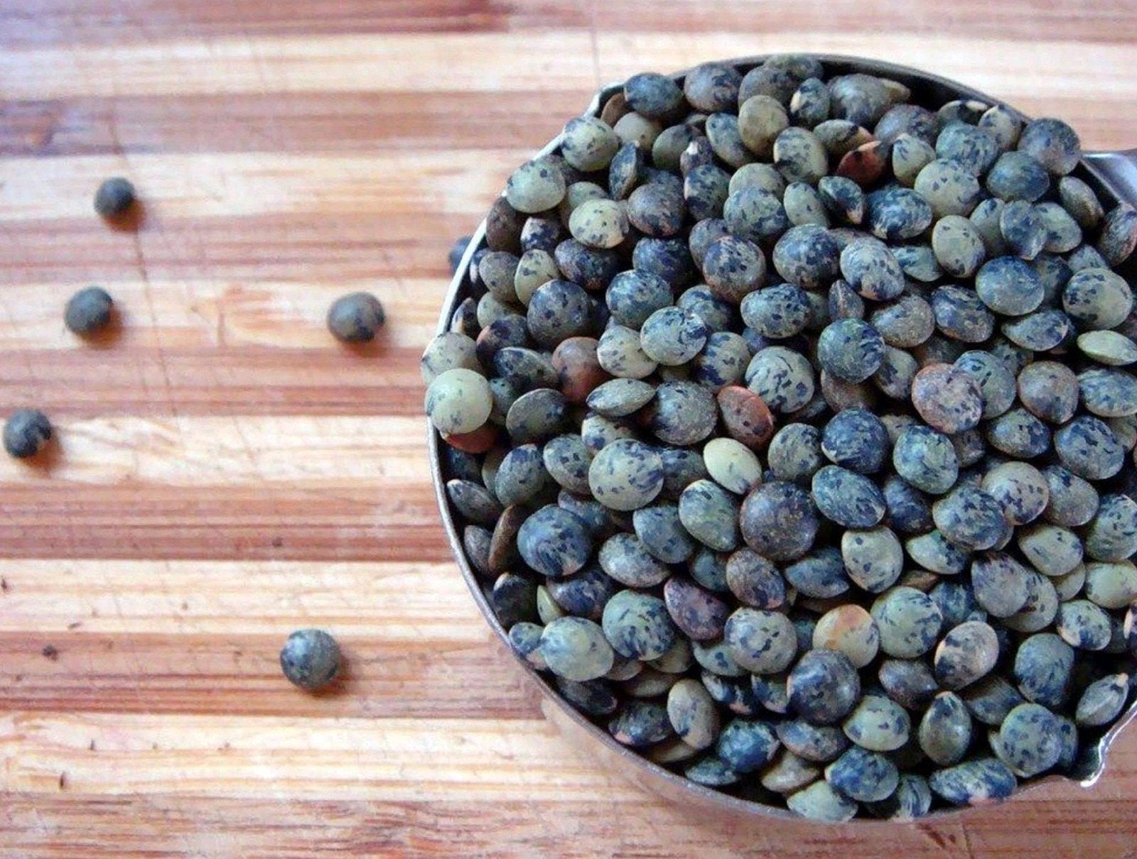 Franse blauwe Le Puy Linzen zaden biologisch, Ophalen of Verzenden, Volle zon
