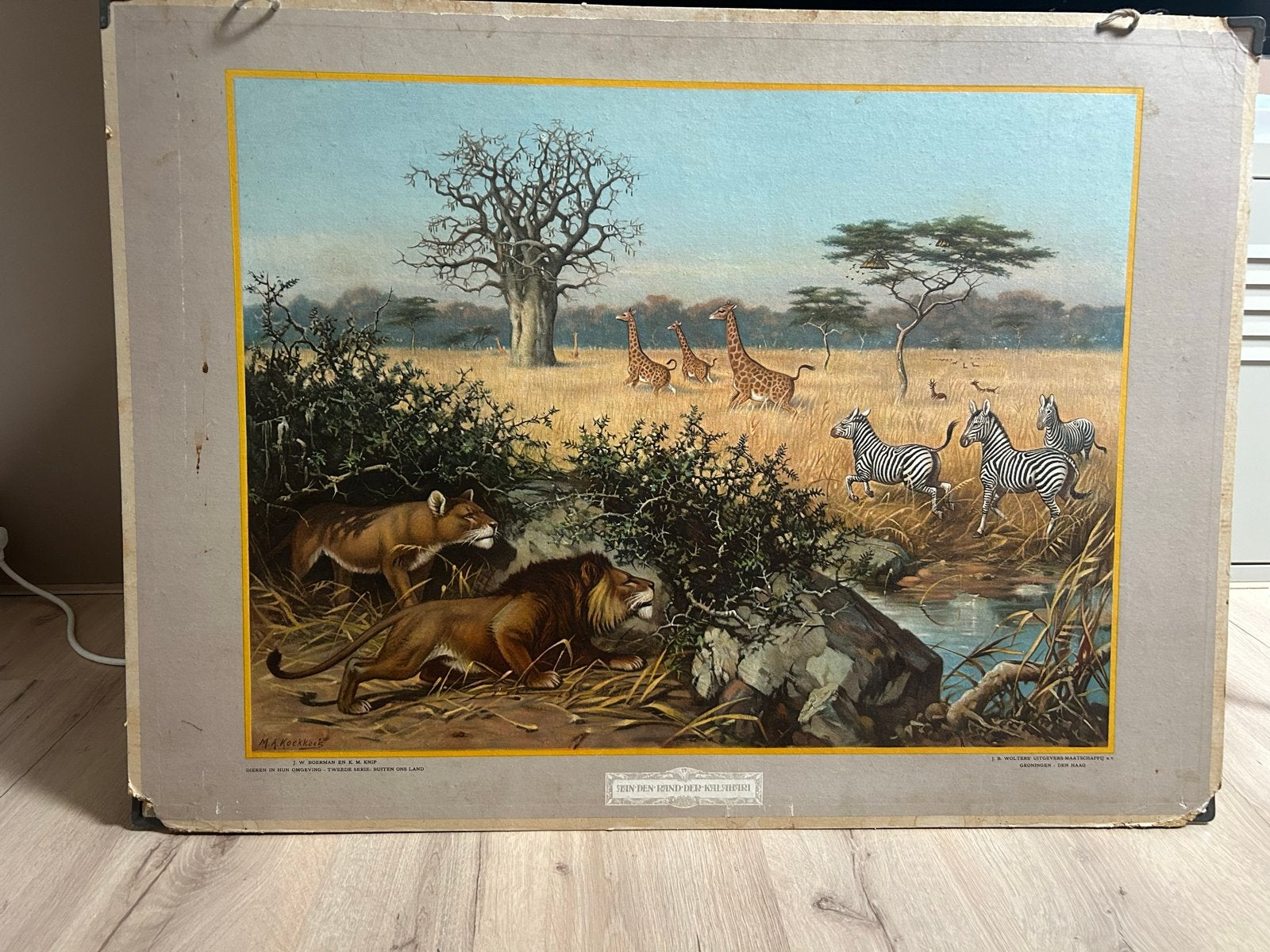 Vintage schoolplaat „Aan den rand der Kalahari”, Ophalen of Verzenden, Natuur en Biologie
