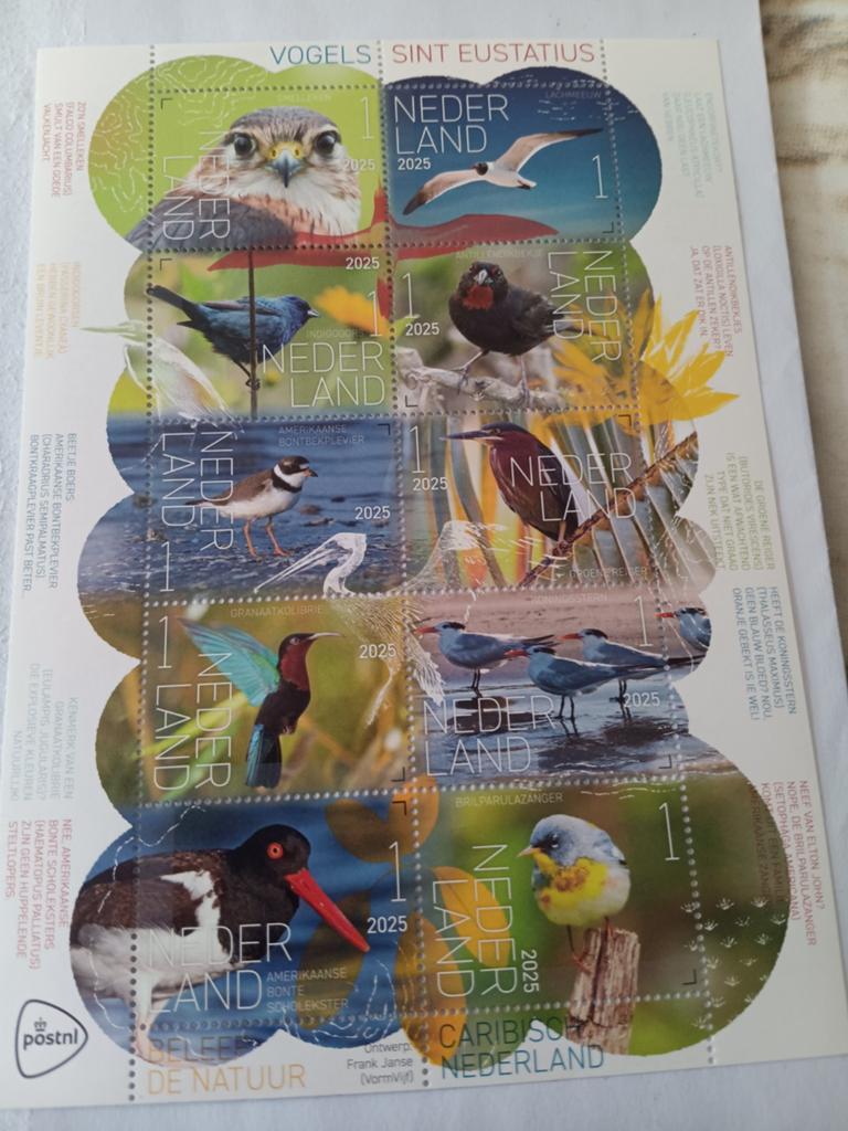 BELEEF DE NATUUR  VOGELS SINT EUSTATIUS, Postzegels en Munten, Postzegels | Nederland, Ophalen of Verzenden