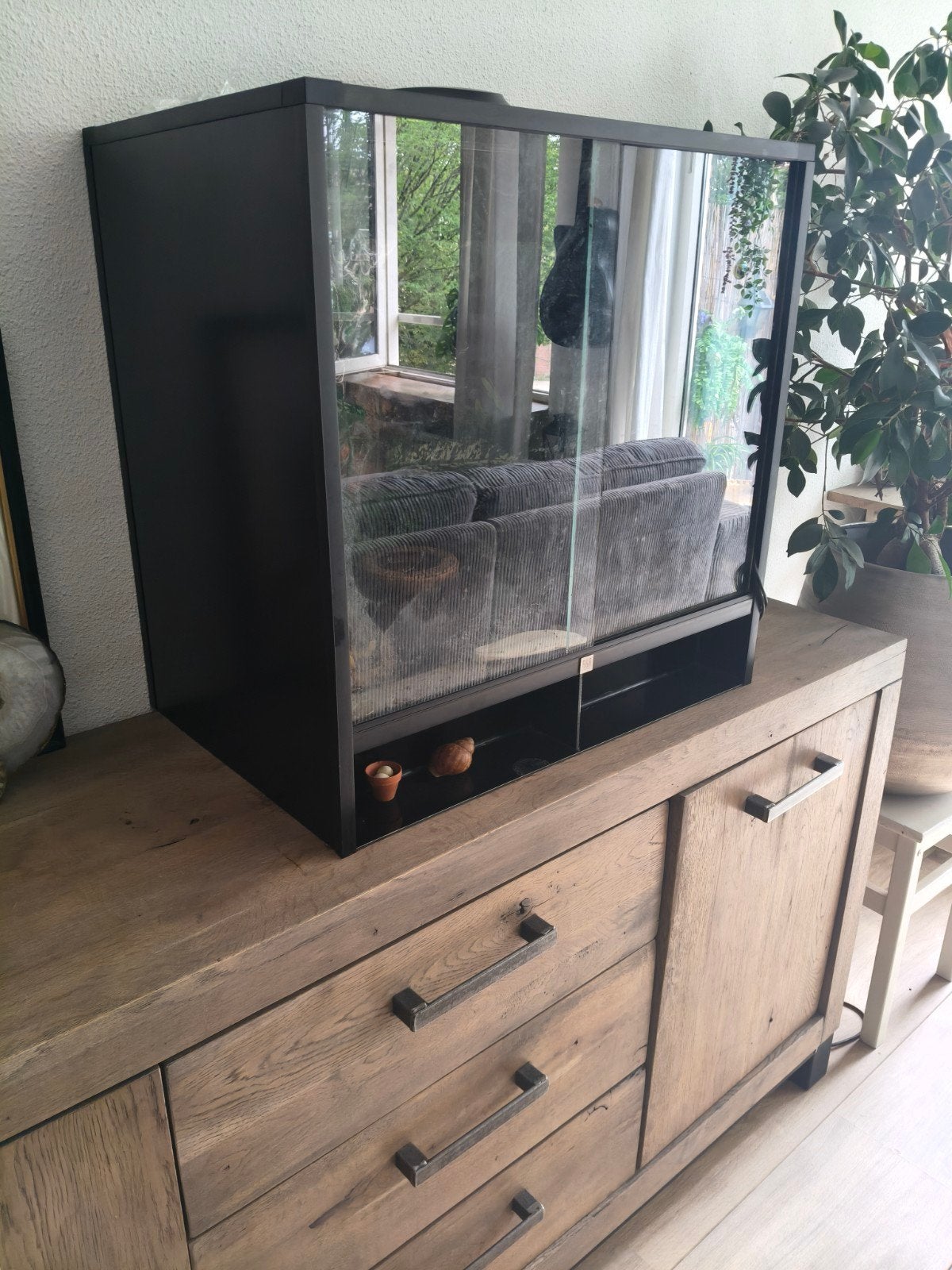 terrarium 60x40x60, Ophalen of Verzenden, Zo goed als nieuw, Terrarium of Paludarium