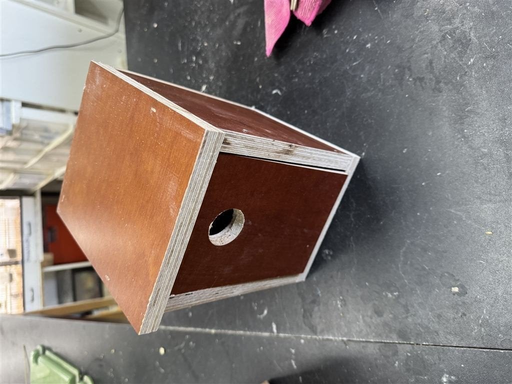 Exclusieve mezen nestkast – betontriplex, Meerdere dieren