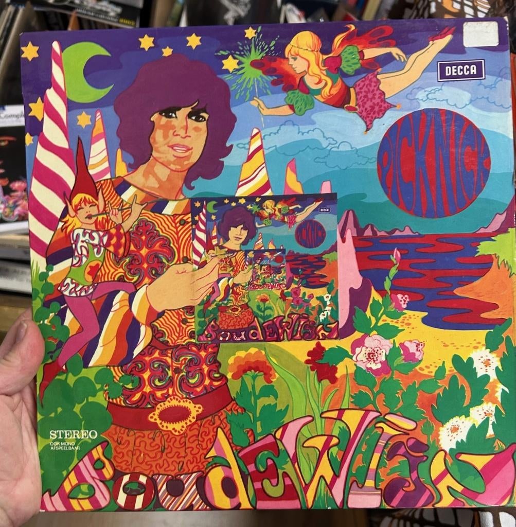 Boudewijn de Groot: Picknick (lp), Cd's en Dvd's, Vinyl | Nederlandstalig, Ophalen of Verzenden, Gebruikt, 12 inch, Overige genres