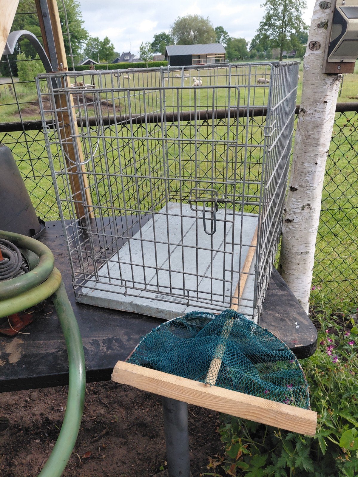 Honden bench, Dieren en Toebehoren, Ophalen, Gebruikt