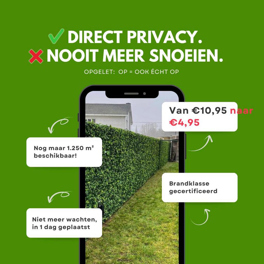 🌿Kunsthaag grof Hedera – Meer dan 1500 m² beschikbaar!, Ophalen of Verzenden, Nieuw