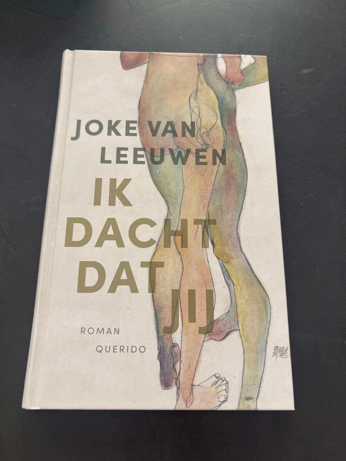 Ik Dacht Dat Jij - Joke van Leeuwen (Roman), Boeken, Ophalen of Verzenden, Zo goed als nieuw, Nederland