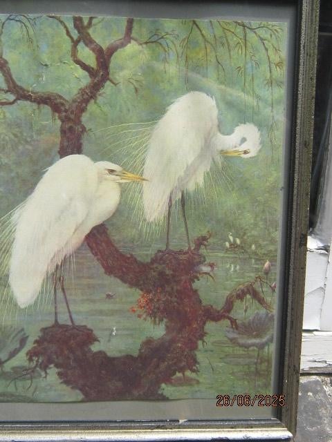 Pastel van Reigers op een Boomstronk, Ophalen of Verzenden