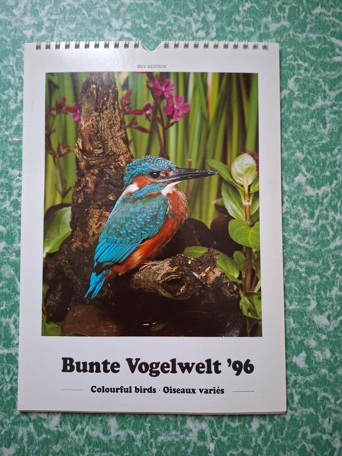 IJsvogel op de voorzijde van een Kalender met vogels, Verzamelen, Ophalen of Verzenden, Nieuw