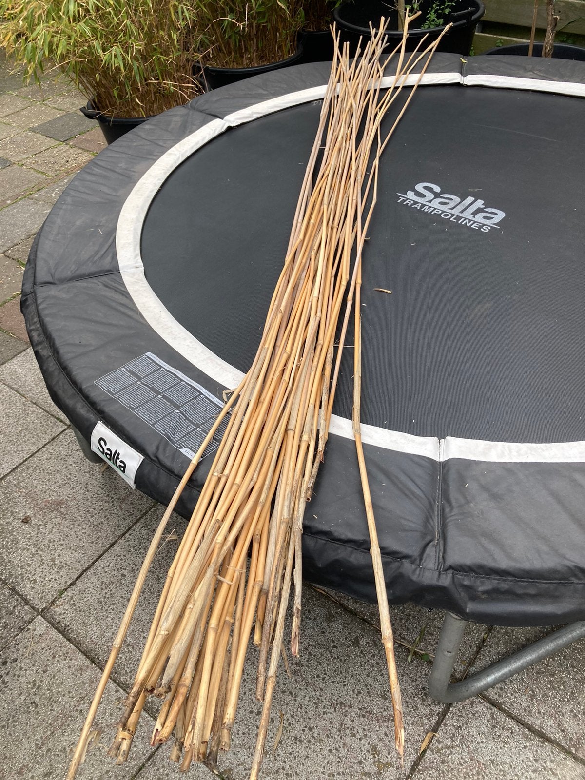 Bos lange bamboe takken stokken. Moestuin, Ophalen, Zo goed als nieuw, Overige typen