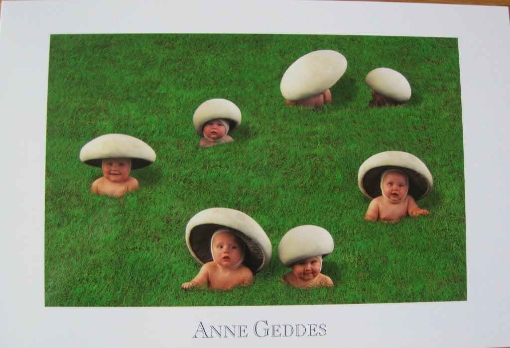 Anne Geddes - AGC060 - babies in het gras - 2006 - nieuw, Verzenden, 1980 tot heden, Ongelopen, Kinderen