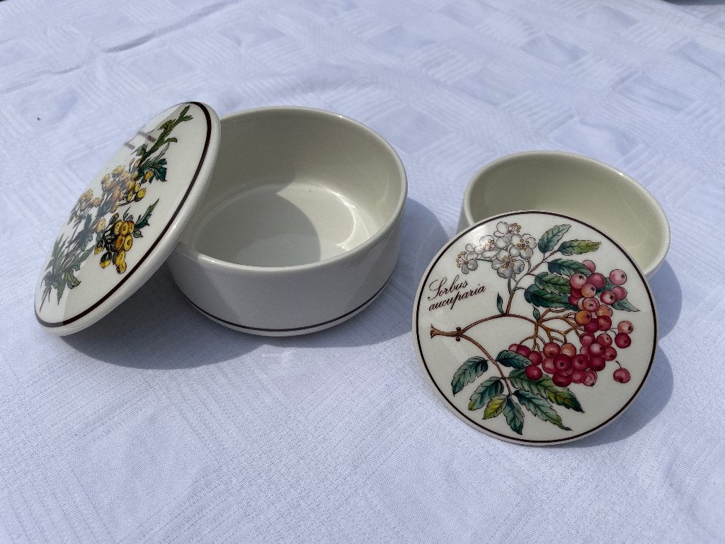 Villeroy & Boch Botanica 2 porseleinen schaaltjes met deksel, Ophalen of Verzenden, Zo goed als nieuw, Porselein, Overige typen