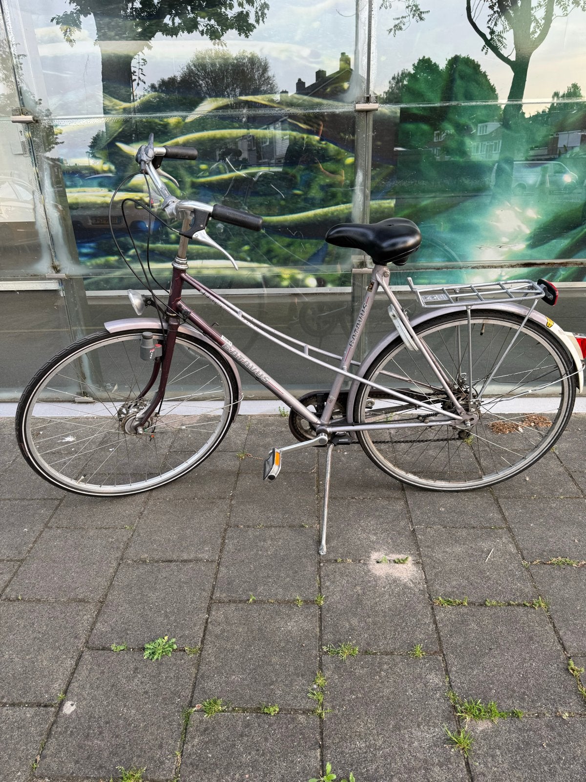 Batavus damesfiets met versnellingen, Ophalen, Velgrem, Versnellingen, Batavus