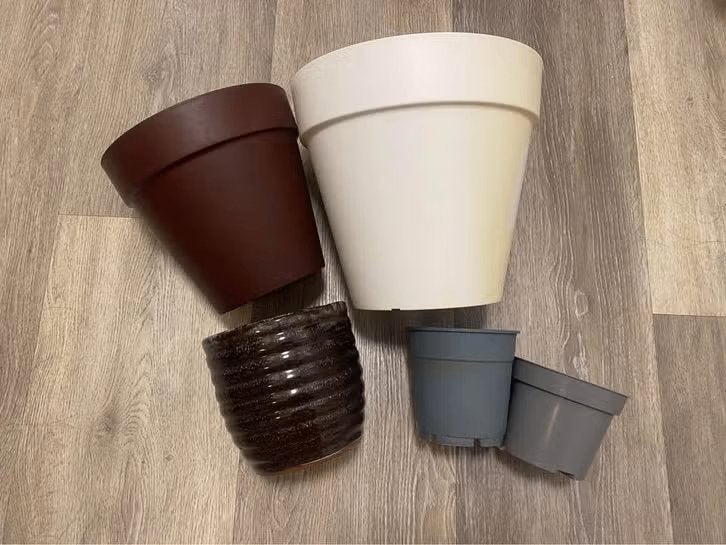 Flower plant pot, Ophalen, Overige soorten, Volle zon