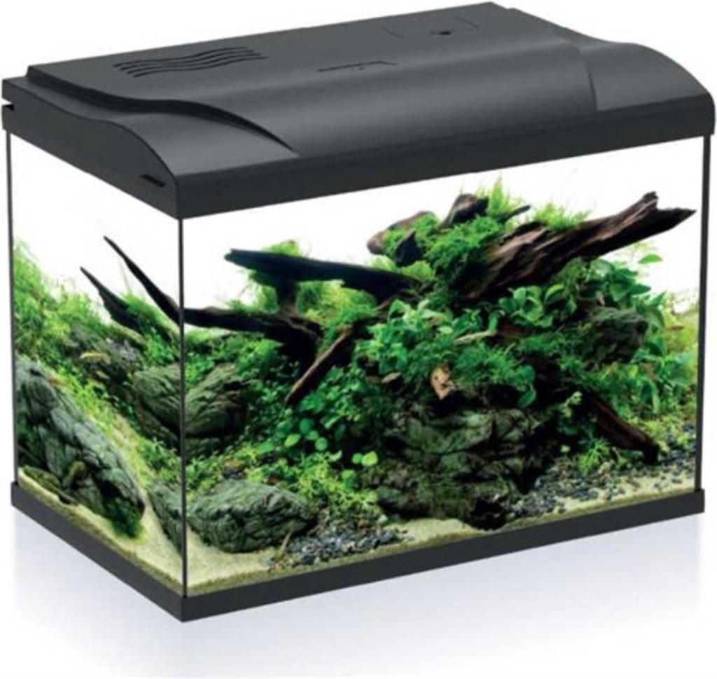 hs aqua platy 50, Dieren en Toebehoren, Info@hsaqua.eu, HS Aqua, Nieuw, Ophalen of Verzenden