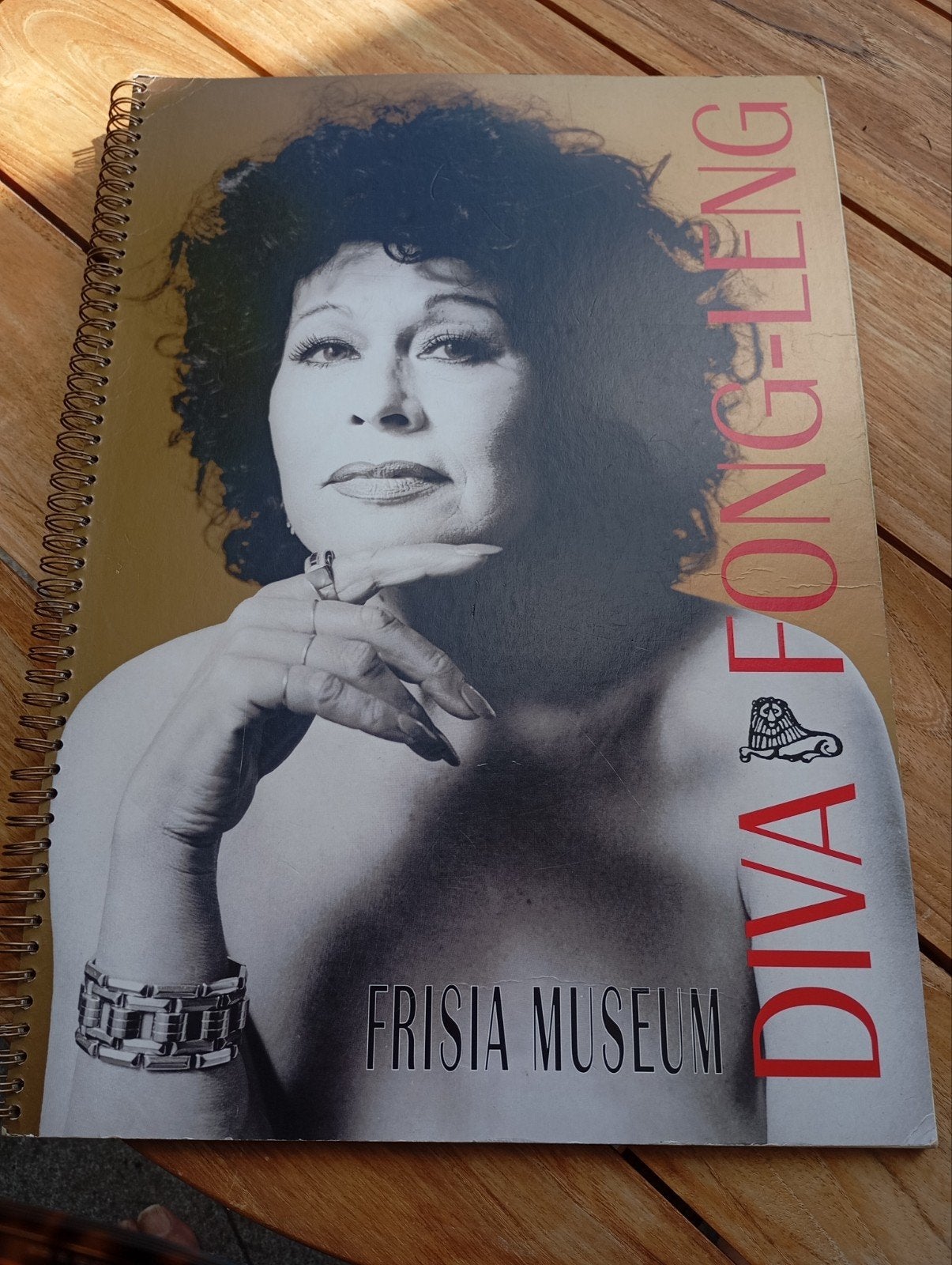 Diva Fong -Leng Frisia Museum, Ophalen of Verzenden