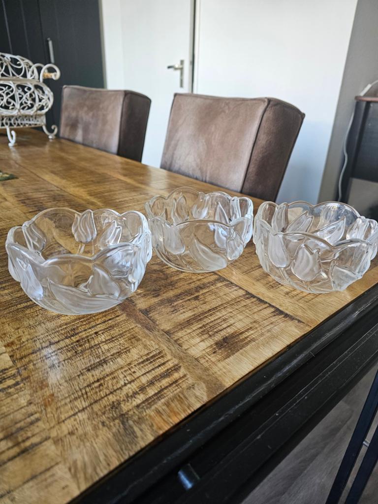 Mooie schaaltjes met tulpen h 8 ds 12 cm, Ophalen, Zo goed als nieuw, Glas, Schaal of Schalen