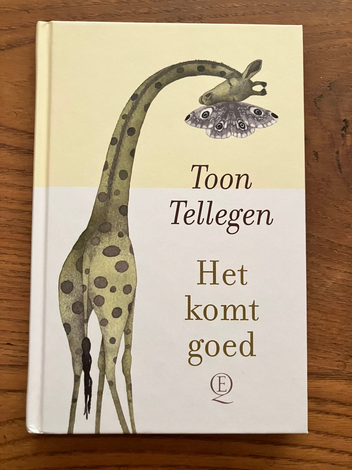 Het komt goed, van Toon Tellegen. Nieuw!, Ophalen, Nieuw, Toon Tellegen, Nederland