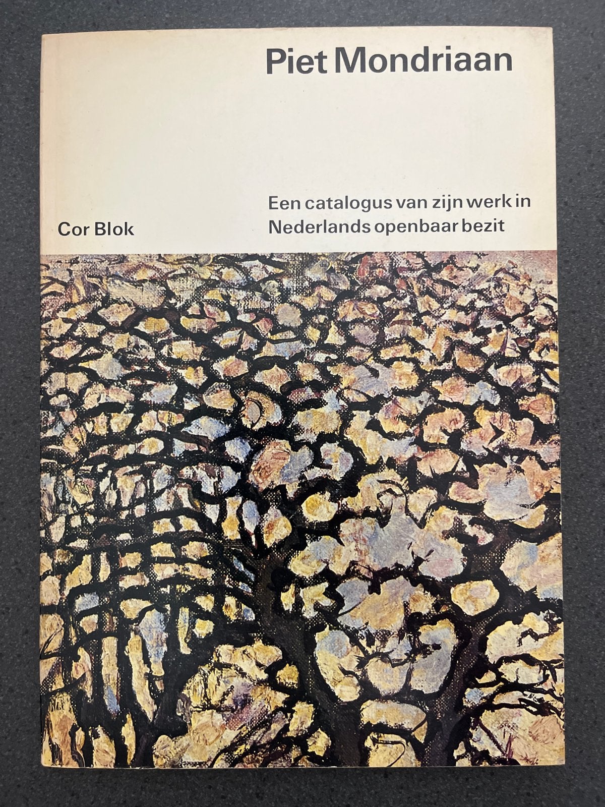 Piet Mondriaan - Een catalogus van zijn werk, Ophalen of Verzenden