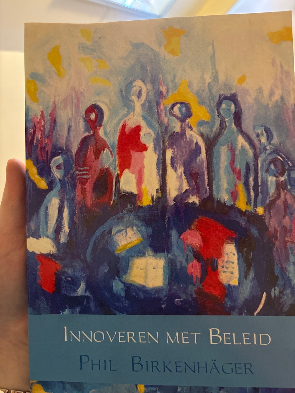 Innoveren met Beleid - Phil Birkenhäger, Ophalen of Verzenden, Gamma, Zo goed als nieuw, HBO