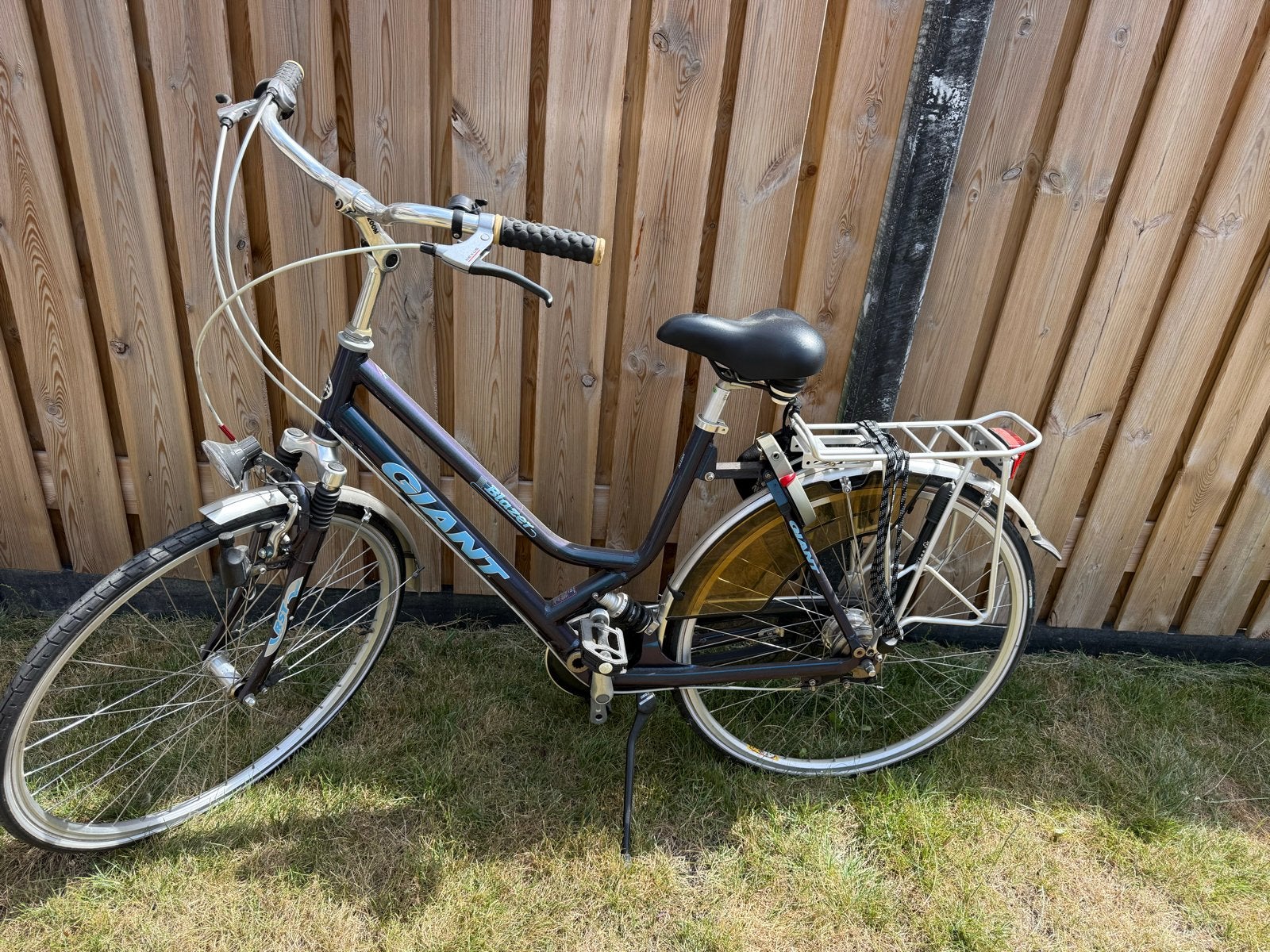 Giant Dames- en Herenfiets - Banden Lek, Ophalen, Gebruikt, Giant