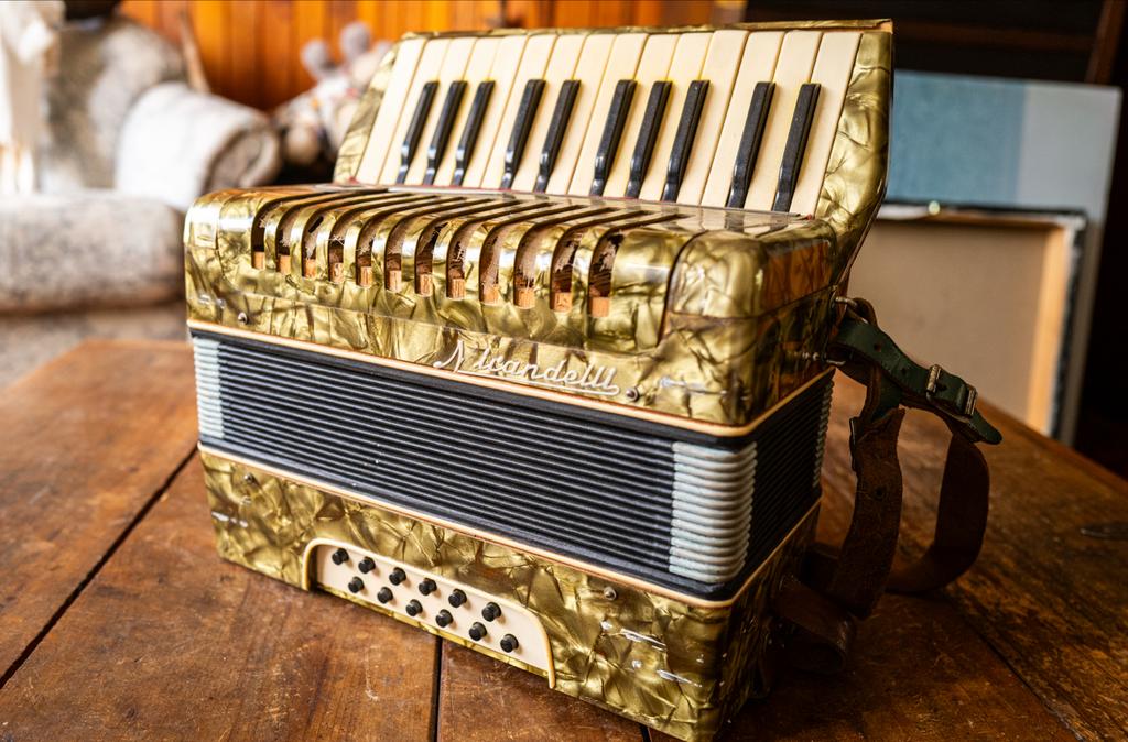 Oude Scandalli Accordeon - Werkt nog goed!, Muziek en Instrumenten, Accordeons, Ophalen, Gebruikt, Met riemen, Scandalli