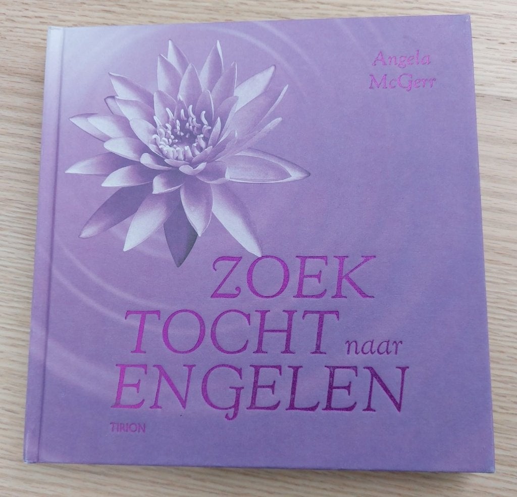 Zoektocht naar Engelen van Angela McGerr, Spiritualiteit algemeen, Angela McGerr, Ophalen of Verzenden, Zo goed als nieuw