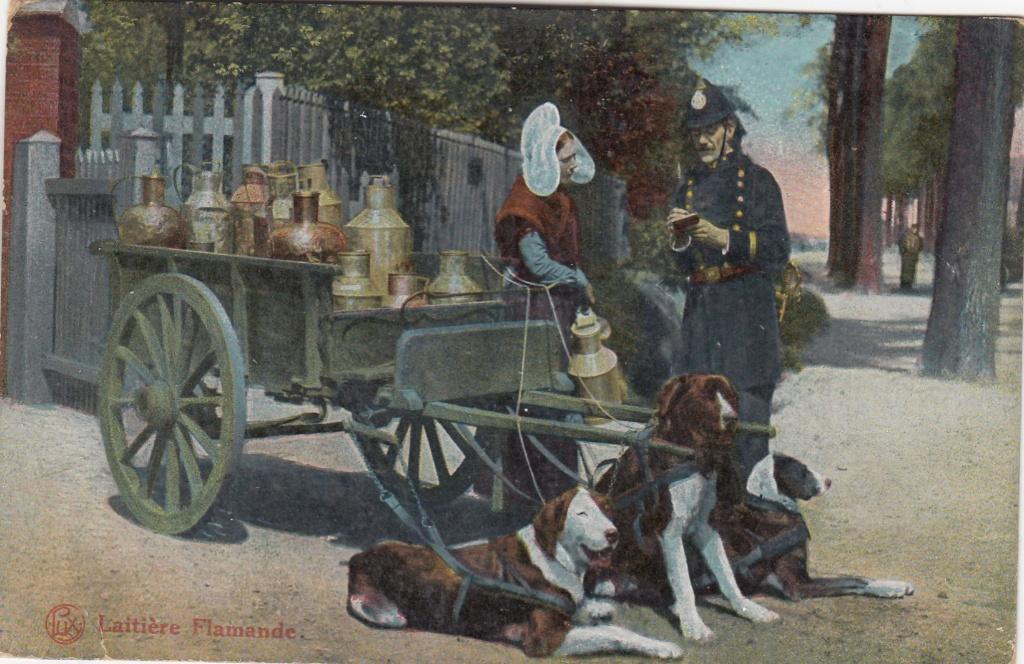 Belgie - Latiere Flamande 1921, Verzamelen, Verzenden, 1920 tot 1940, Gelopen, België en Luxemburg