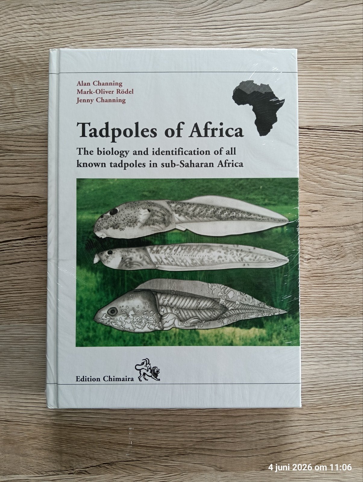 Tadpoles of Africa, Dieren en Toebehoren, Reptielen en Amfibieën | Toebehoren, Ophalen of Verzenden, Nieuw