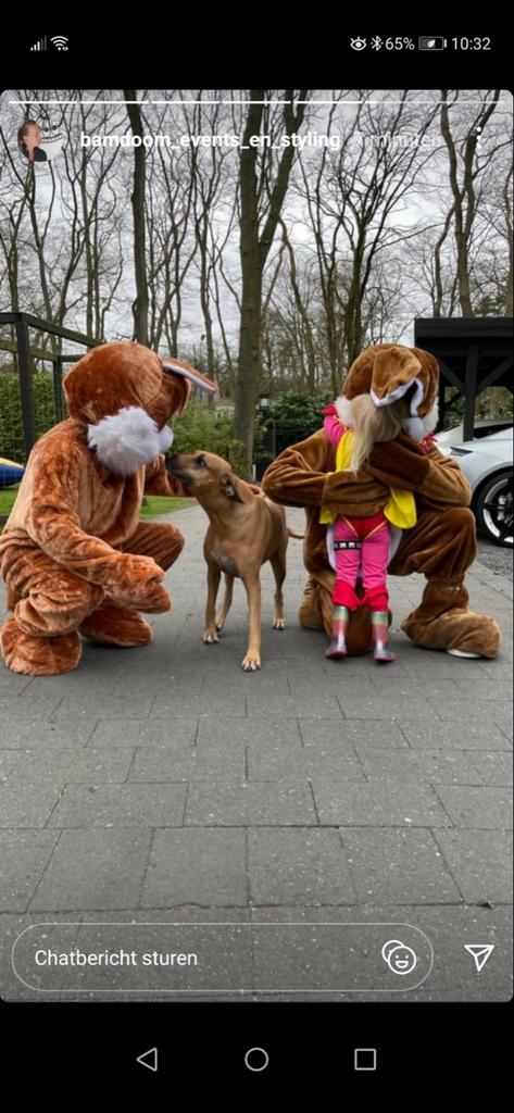 Konijn mascotte kostuum - Pasen, evenementen, feestjes, Ophalen, Zo goed als nieuw, Pak of Jurk