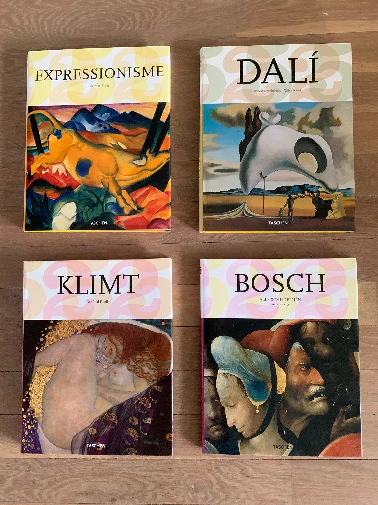 Schilderkunst / boeken over beroemde schilders, Ophalen of Verzenden, Zo goed als nieuw, Schilder- en Tekenkunst