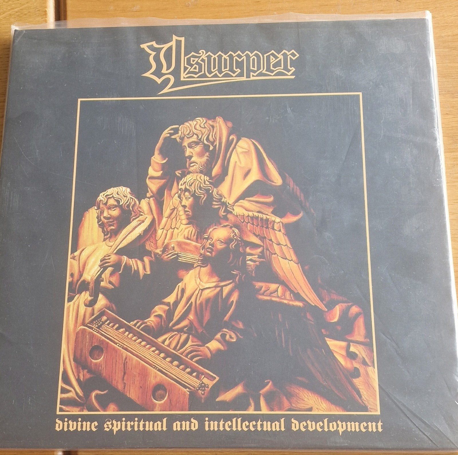 usurper  - divine spiritual and intellectuele development, Cd's en Dvd's, Ophalen of Verzenden, Dubbel-LP, 12 inch, Dubbel-LP