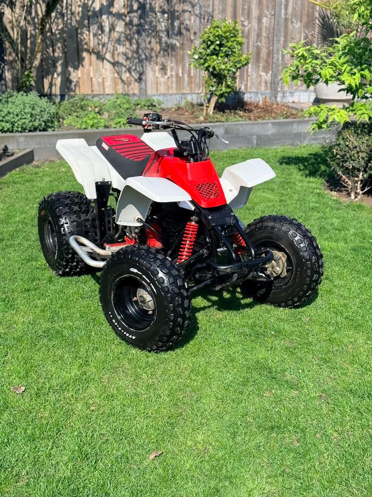 Yamaha blaster, Ophalen, Gereviseerd