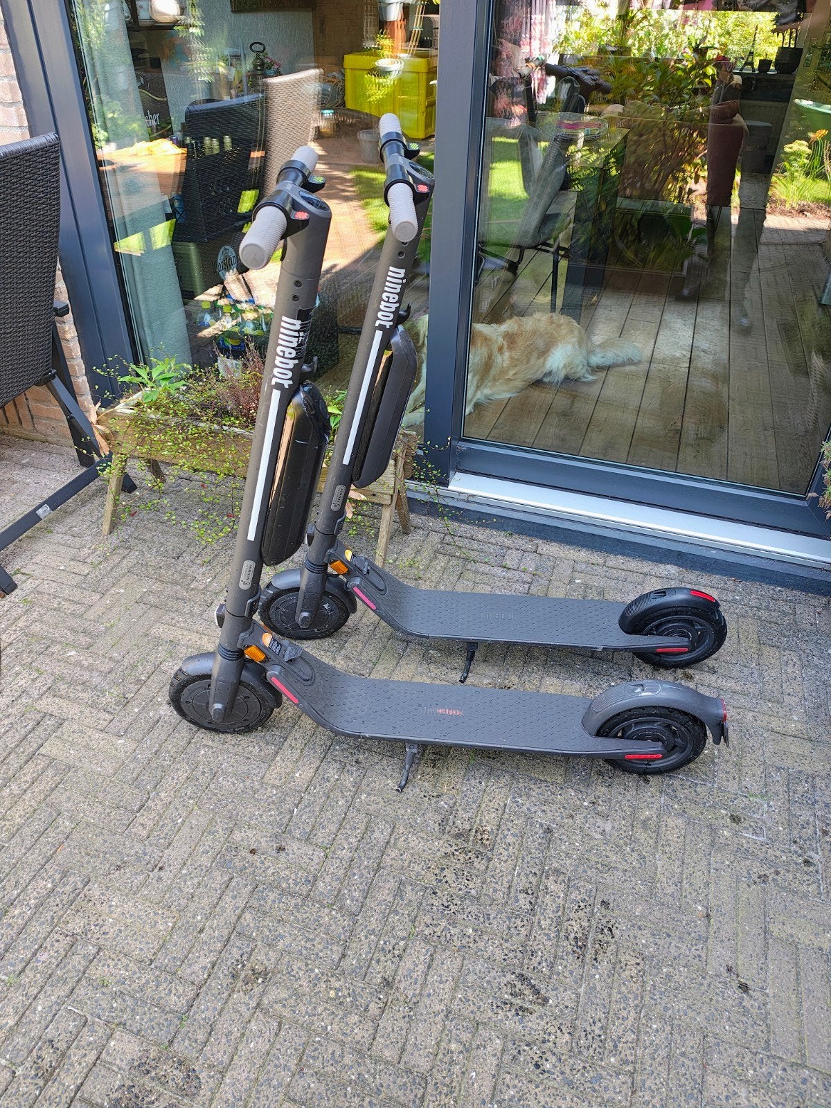 2x Segway Ninebot E25 electrische step. Zeer degelijke steps, Fietsen en Brommers, Steps, Ophalen, Assen, Zo goed als nieuw, Segway Ninebot E25 kick scooter