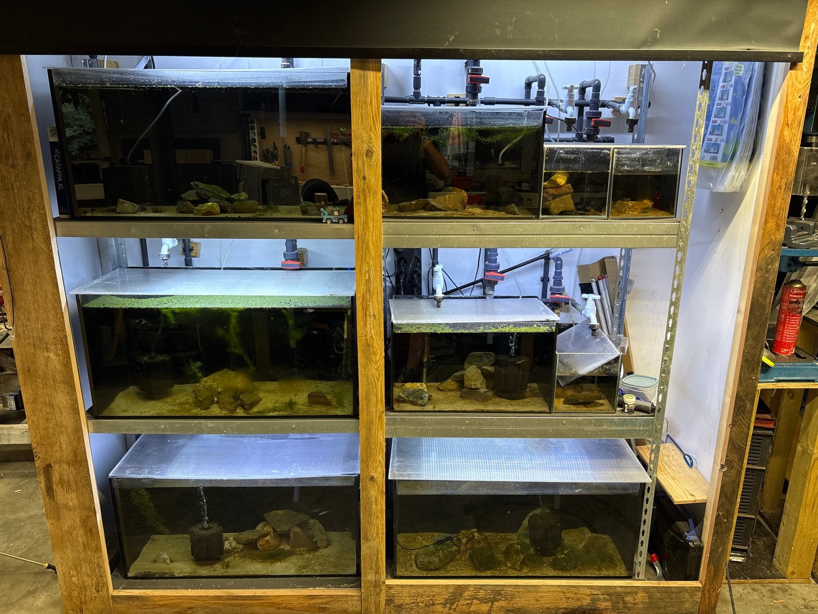Complete aquarium kweek stelling, Dieren en Toebehoren, Vissen | Aquaria en Toebehoren, Ophalen, Inclusief toebehoren, Zo goed als nieuw