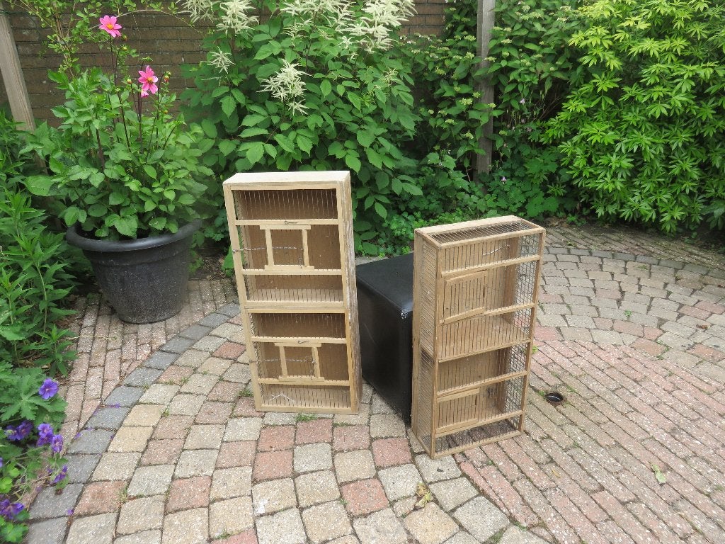 kooi om vogels te vervoeren, Dieren en Toebehoren, Geslacht onbekend, Kleurkanarie