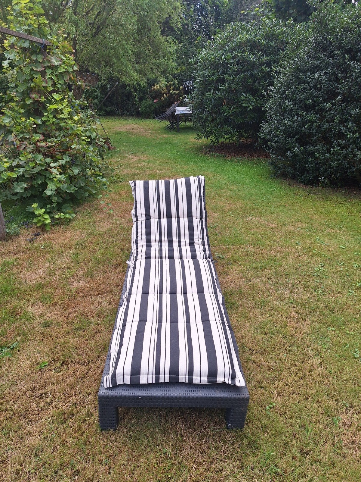 Verstelbare ligstoel met kussen (tweezijdig) - Summer Set, Tuin en Terras, Ophalen, Gebruikt, Kunststof, Verstelbaar